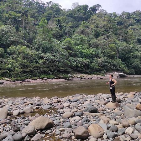 Playaselva Reserva Biologica Archidona Kültér fotó