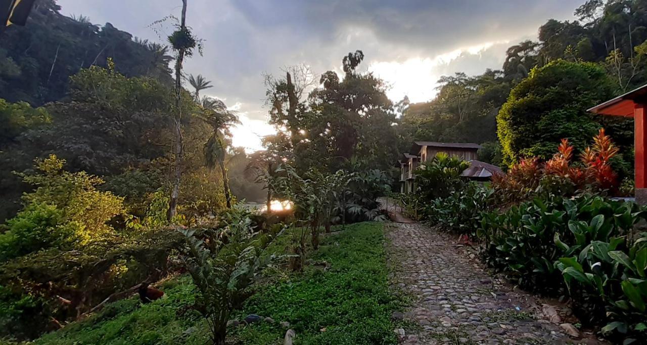 Playaselva Reserva Biologica Villa Archidona Kültér fotó