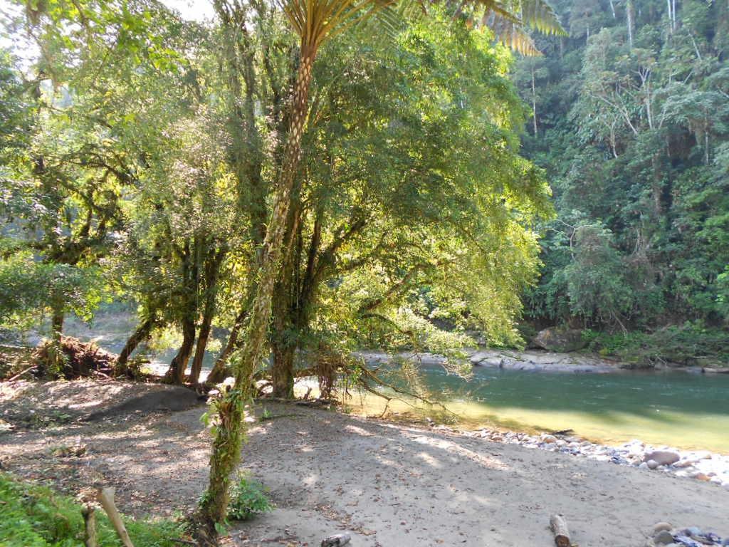 Playaselva Reserva Biologica Villa Archidona Kültér fotó