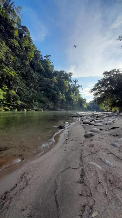 Playaselva Reserva Biologica Villa Archidona Kültér fotó