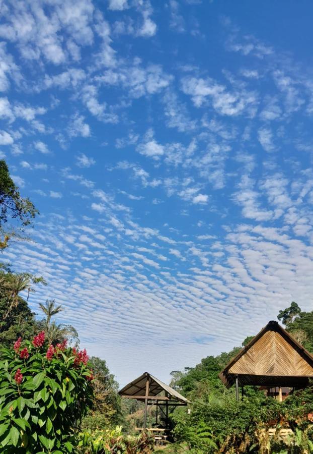 Playaselva Reserva Biologica Villa Archidona Kültér fotó