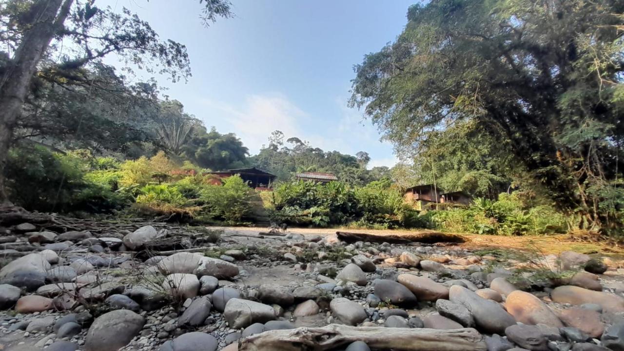 Playaselva Reserva Biologica Villa Archidona Kültér fotó