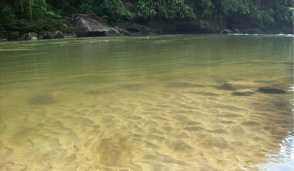 Playaselva Reserva Biologica Archidona Kültér fotó