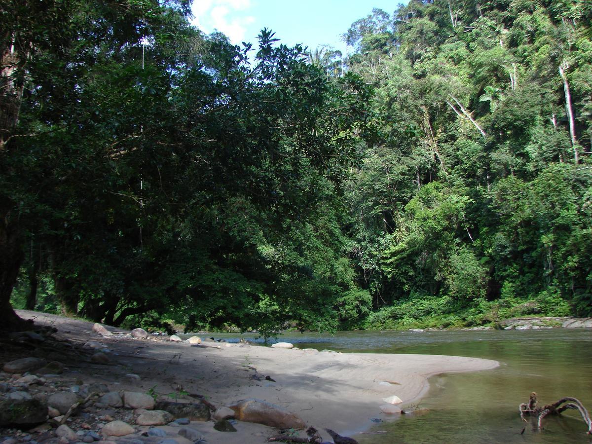 Playaselva Reserva Biologica Archidona Kültér fotó