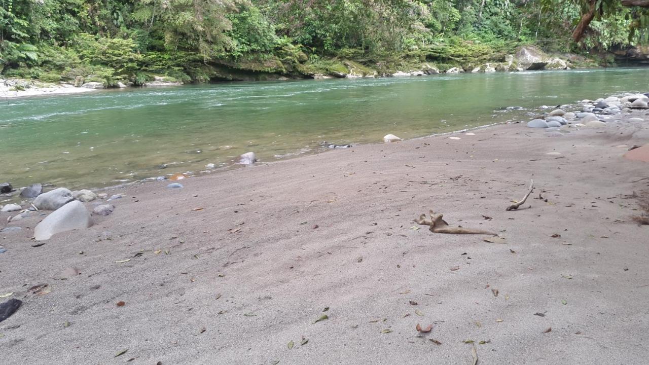 Playaselva Reserva Biologica Villa Archidona Kültér fotó